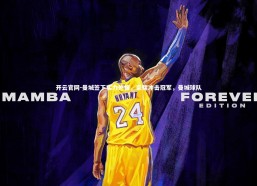 开云官网-曼城签下实力外援，豪赌冲击冠军，曼城球队